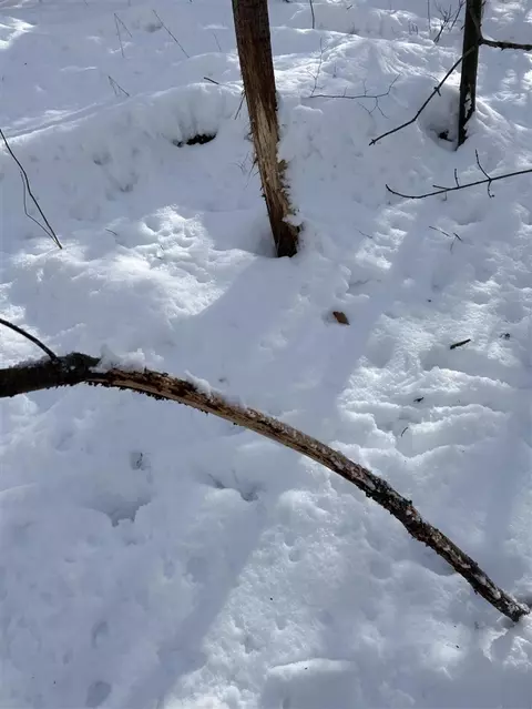 Stuck, Marcellus, MI 49067 photo 29