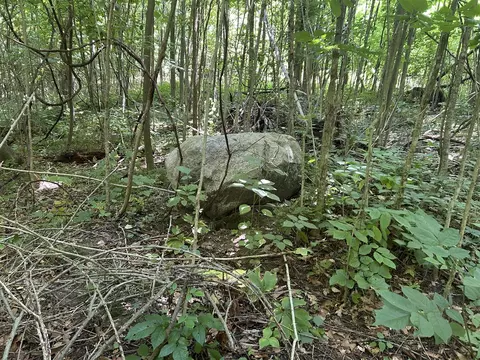 Stuck, Marcellus, MI 49067 photo 9