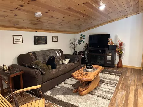 Living - 21640 E Rdg, Update, MI 49839 photo 5 of 5
