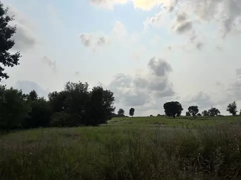 Norvell, Brooklyn, MI 49230 photo 3