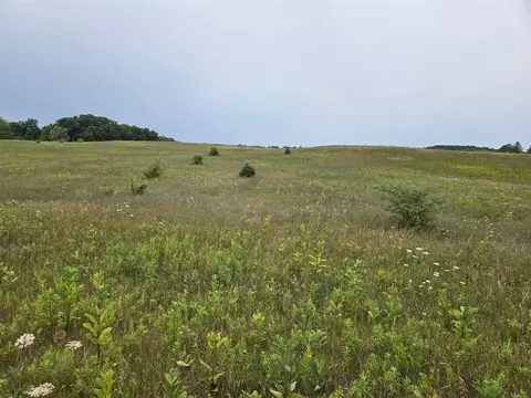 Parcel G Water, Hart, MI 49420