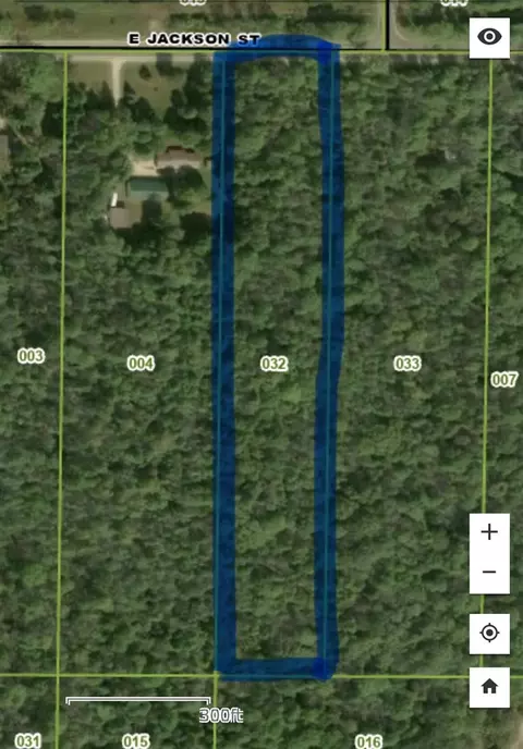 V/l E Jackson, White Cloud, MI 49349 photo 8