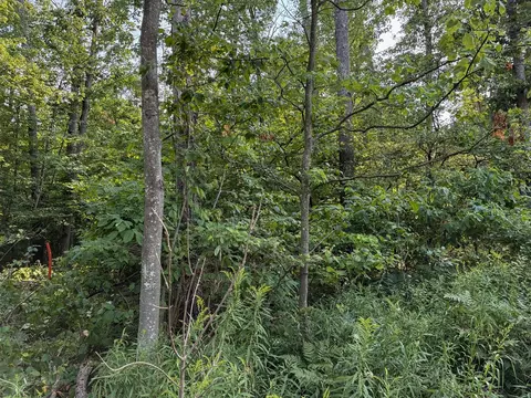 V/l E Jackson, White Cloud, MI 49349 photo 17