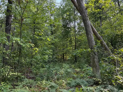 V/l E Jackson, White Cloud, MI 49349 photo 18