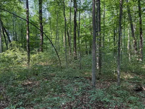 V/l E Jackson, White Cloud, MI 49349 photo 14