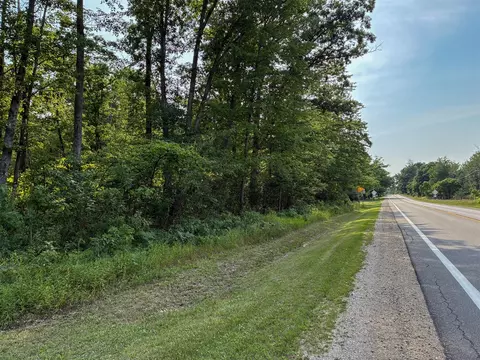 V/l E Jackson, White Cloud, MI 49349 photo 2