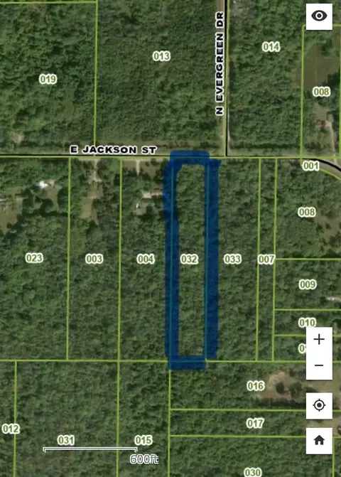 V/l E Jackson, White Cloud, MI 49349 photo 9