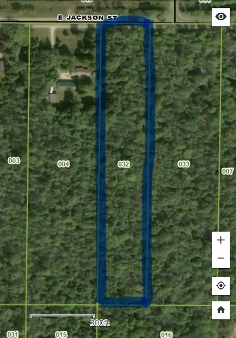 V/l E Jackson, White Cloud, MI 49349 photo 8