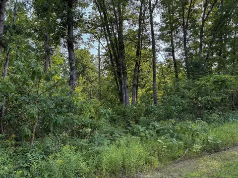 V/l E Jackson, White Cloud, MI 49349 photo 21