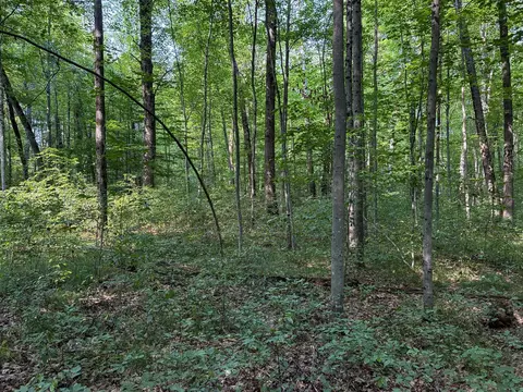 V/l E Jackson, White Cloud, MI 49349 photo 14