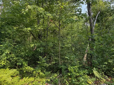 V/l E Jackson, White Cloud, MI 49349 photo 19