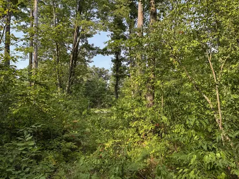 V/l E Jackson, White Cloud, MI 49349 photo 20