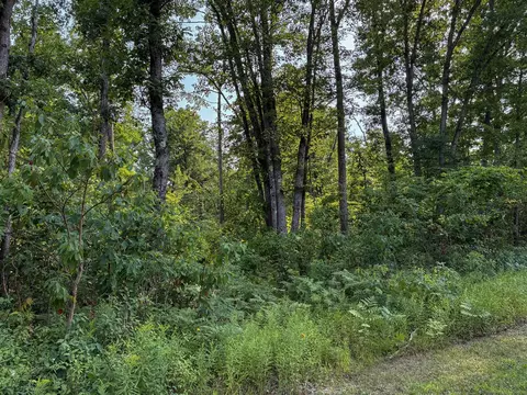 V/l E Jackson, White Cloud, MI 49349 photo 21
