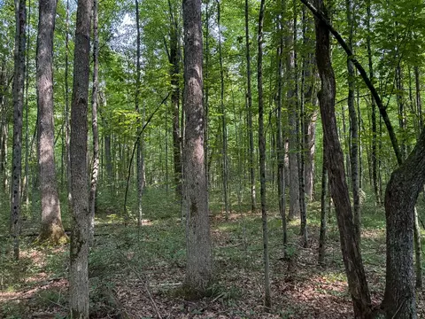 V/l E Jackson, White Cloud, MI 49349 photo 15