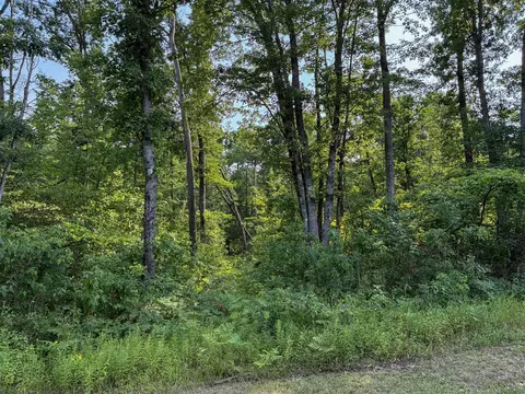 V/l E Jackson, White Cloud, MI 49349 photo 16