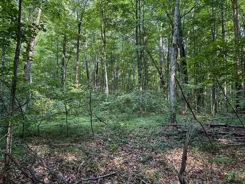V/l E Jackson, White Cloud, MI 49349 photo 11