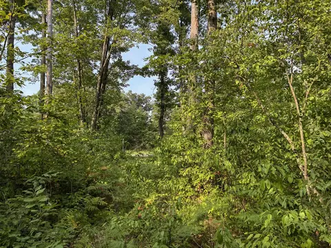 V/l E Jackson, White Cloud, MI 49349 photo 20