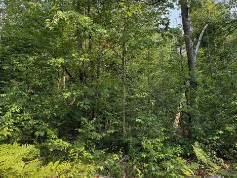 V/l E Jackson, White Cloud, MI 49349 photo 19