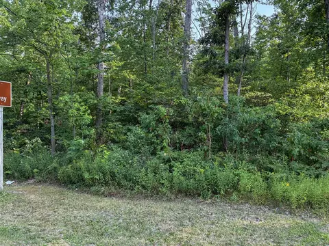 V/l E Jackson, White Cloud, MI 49349 photo 23