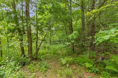 V/l W Stanton, Stanton, MI 48888 photo 10