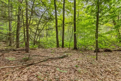 V/l W Stanton, Stanton, MI 48888 photo 25