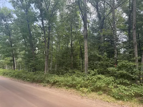 12 Th, Bitely, MI 49309 photo 2