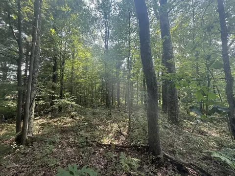 12 Th, Bitely, MI 49309 photo 3
