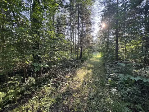 Channel Lake, West Branch, MI 48661