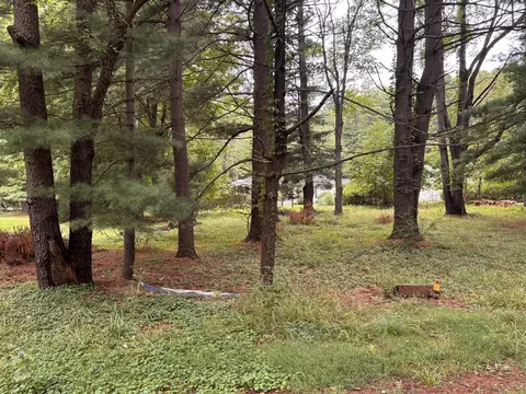 V/l Spruce, Sawyer, MI 49125