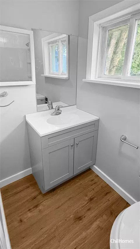 Bath - 716 Root, Belding, MI 48809 photo 5 of 7