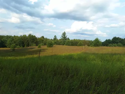 V/l 00 N Lakola, Leroy, MI 49655