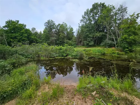V/l E Chauvez, Custer, MI 49405 photo 11