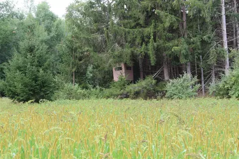 V/l E Chauvez, Custer, MI 49405 photo 37