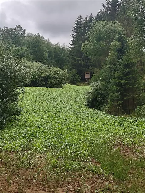V/l E Chauvez, Custer, MI 49405 photo 13