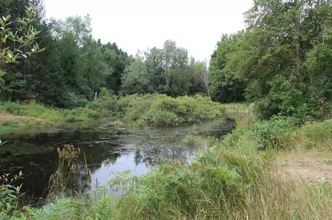 V/l E Chauvez, Custer, MI 49405 photo 31