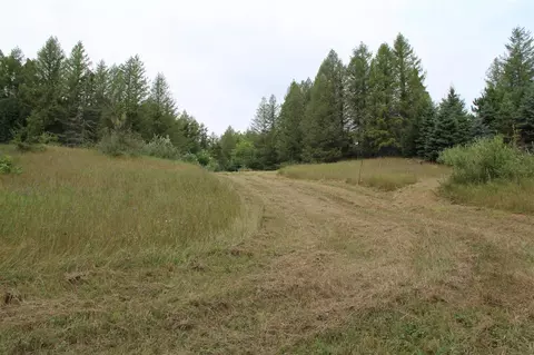 V/l E Chauvez, Custer, MI 49405 photo 34