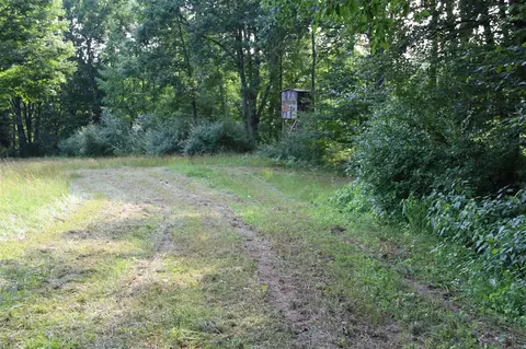 V/l E Chauvez, Custer, MI 49405 photo 24