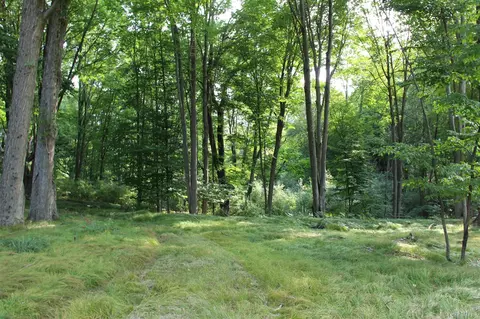 V/l E Chauvez, Custer, MI 49405 photo 20