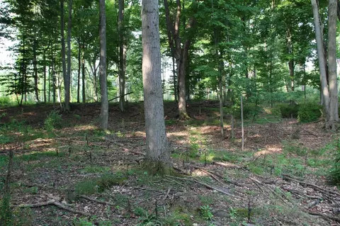 V/l E Chauvez, Custer, MI 49405 photo 19