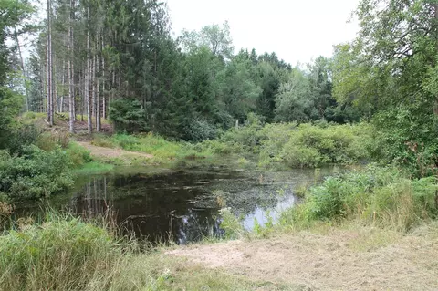 V/l E Chauvez, Custer, MI 49405 photo 32