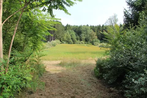 V/l E Chauvez, Custer, MI 49405 photo 29