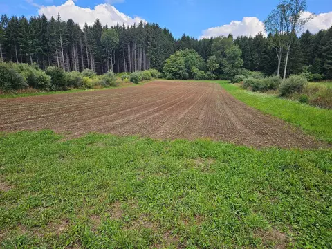 V/l E Chauvez, Custer, MI 49405 photo 3
