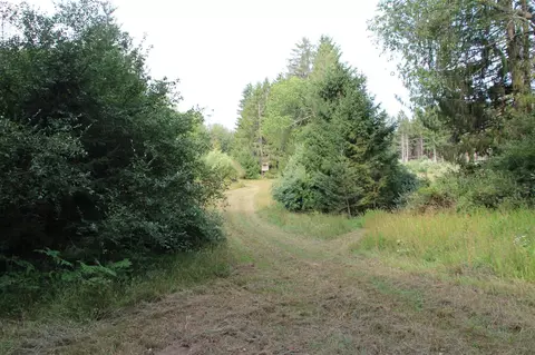 V/l E Chauvez, Custer, MI 49405 photo 26