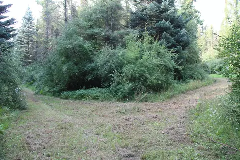 V/l E Chauvez, Custer, MI 49405 photo 15