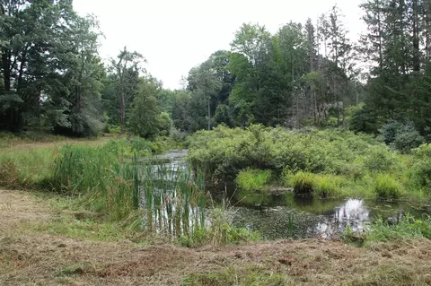 V/l E Chauvez, Custer, MI 49405 photo 33