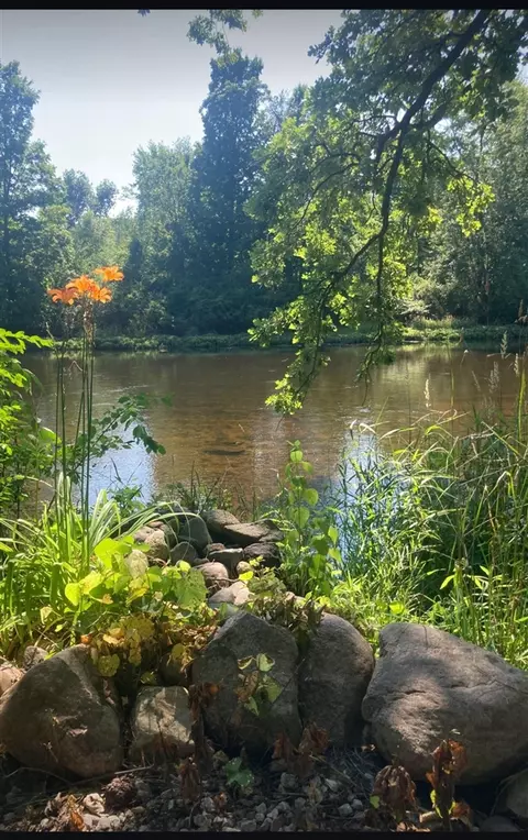 View/Area - 4729 Dimond, Dimondale, MI 48821 photo 2 of 2