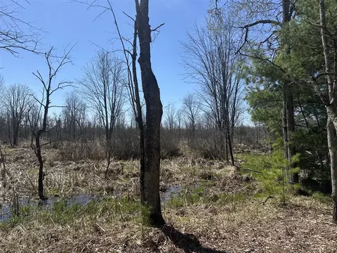 Other - 604 W Beaver, Bitely, MI 49309 photo 29 of 29