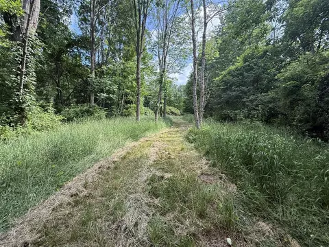 Hagerman, Leonard, MI 48367 photo 27