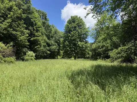 Hagerman, Leonard, MI 48367 photo 2