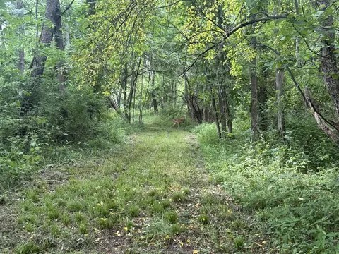 Hagerman, Leonard, MI 48367 photo 32